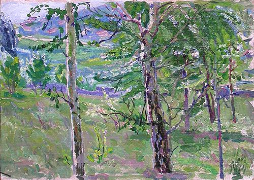 Sketch. Birch Grove summer landscape - oil painting