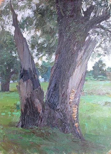 Old White Willow vegetation - oil painting