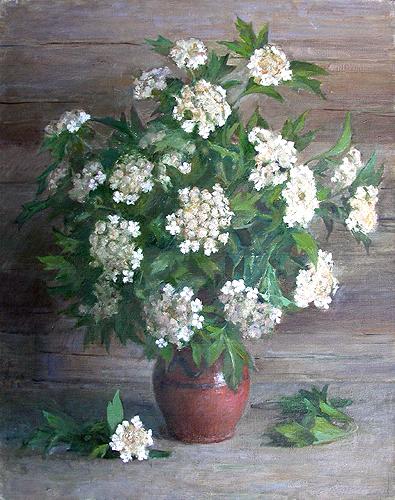 Flowers of Guelder Rose flower - oil painting
